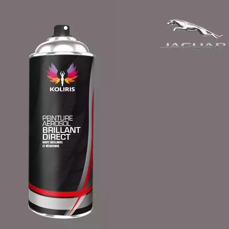 Bombe de peinture voiture 1K brillant Jaguar 400ml