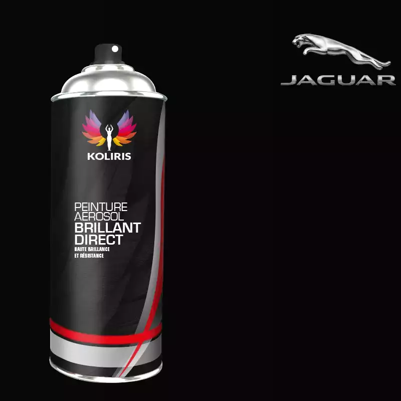 Bombe de peinture voiture 1K brillant Jaguar 400ml