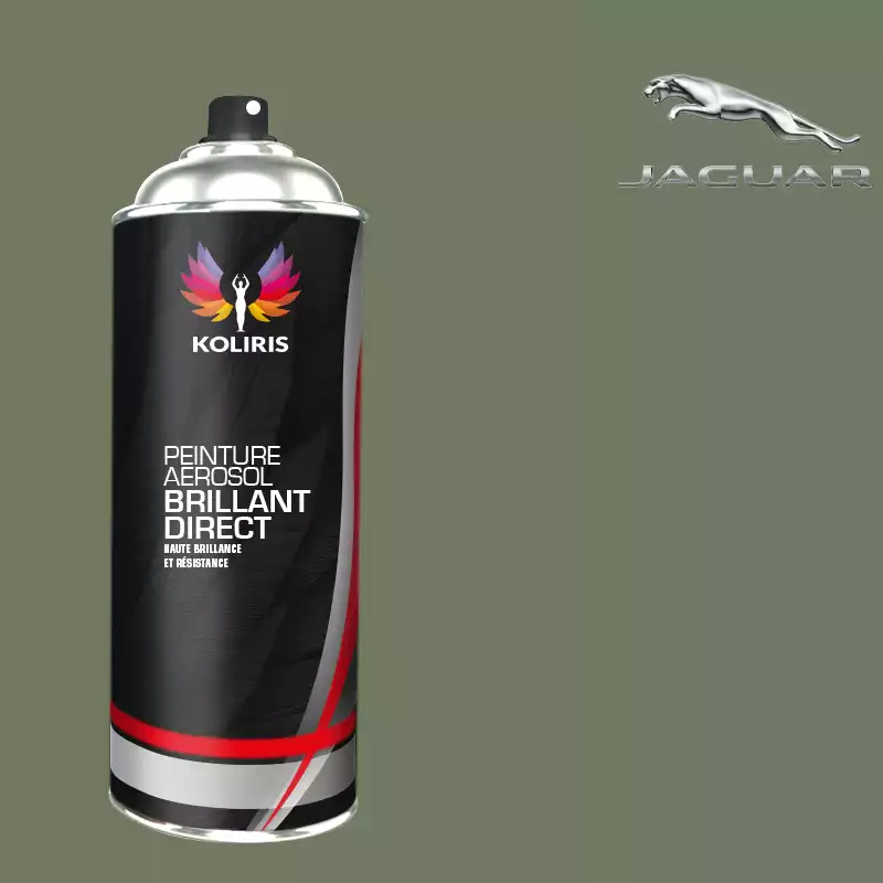 Bombe de peinture voiture 1K brillant Jaguar 400ml