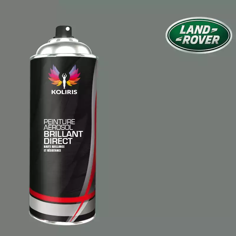 Bombe de peinture voiture 1K brillant Landrover 400ml