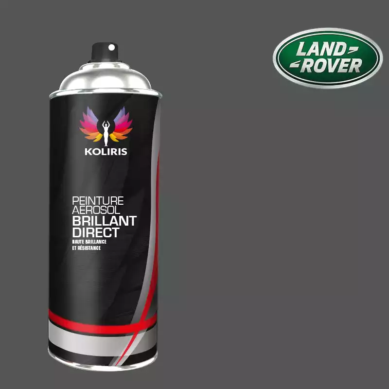 Bombe de peinture voiture 1K brillant Landrover 400ml