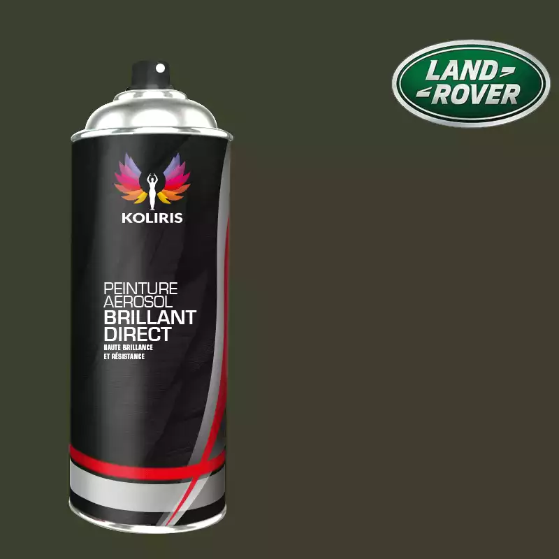 Bombe de peinture voiture 1K brillant Landrover 400ml