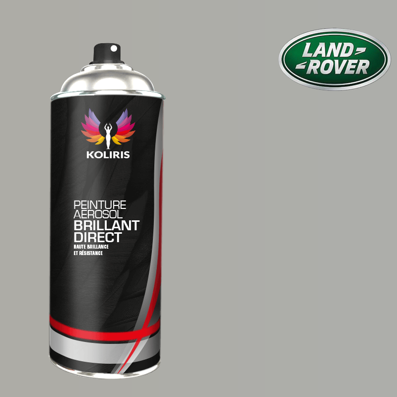 Bombe de peinture voiture 1K brillant Landrover 400ml