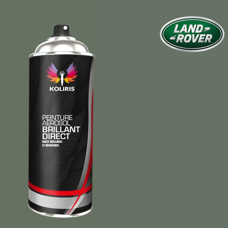 Bombe de peinture voiture 1K brillant Landrover 400ml