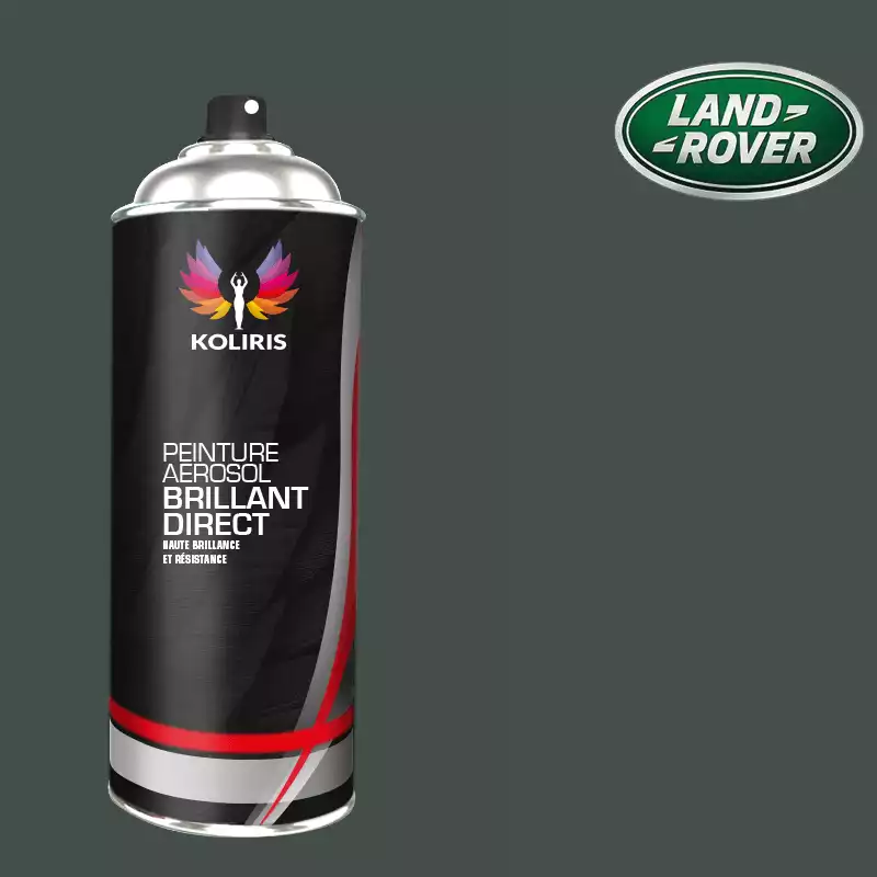 Bombe de peinture voiture 1K brillant Landrover 400ml