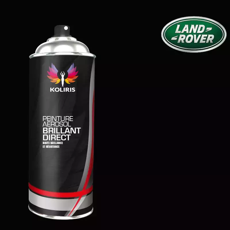 Bombe de peinture voiture 1K brillant Landrover 400ml