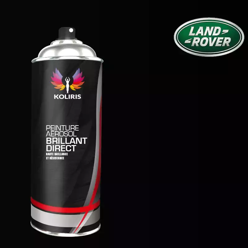 Bombe de peinture voiture 1K brillant Landrover 400ml