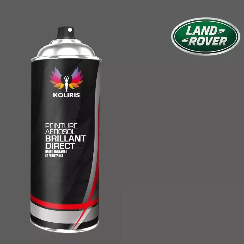 Bombe de peinture voiture 1K brillant Landrover 400ml