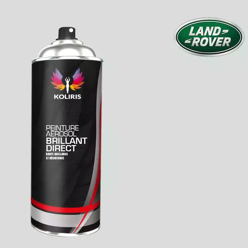 Bombe de peinture voiture 1K brillant Landrover 400ml