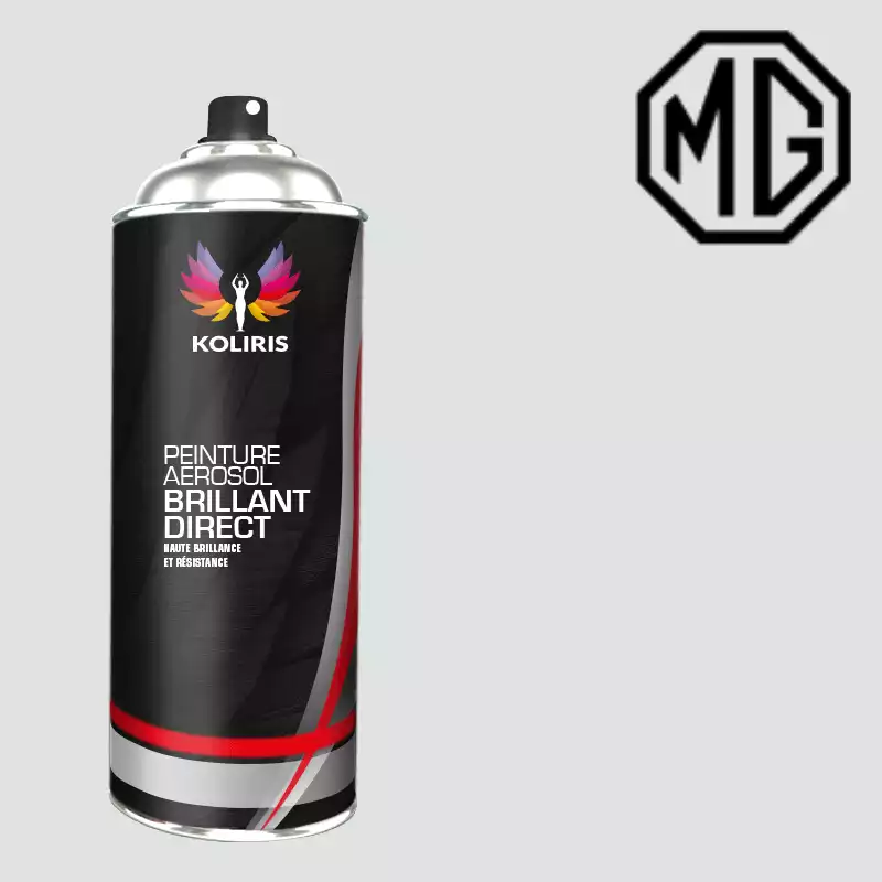 Bombe de peinture voiture 1K brillant Mg 400ml