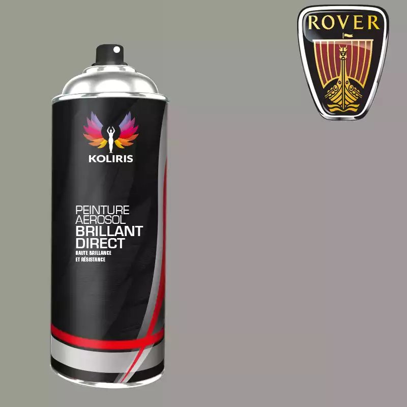 Bombe de peinture voiture 1K brillant Rover 400ml