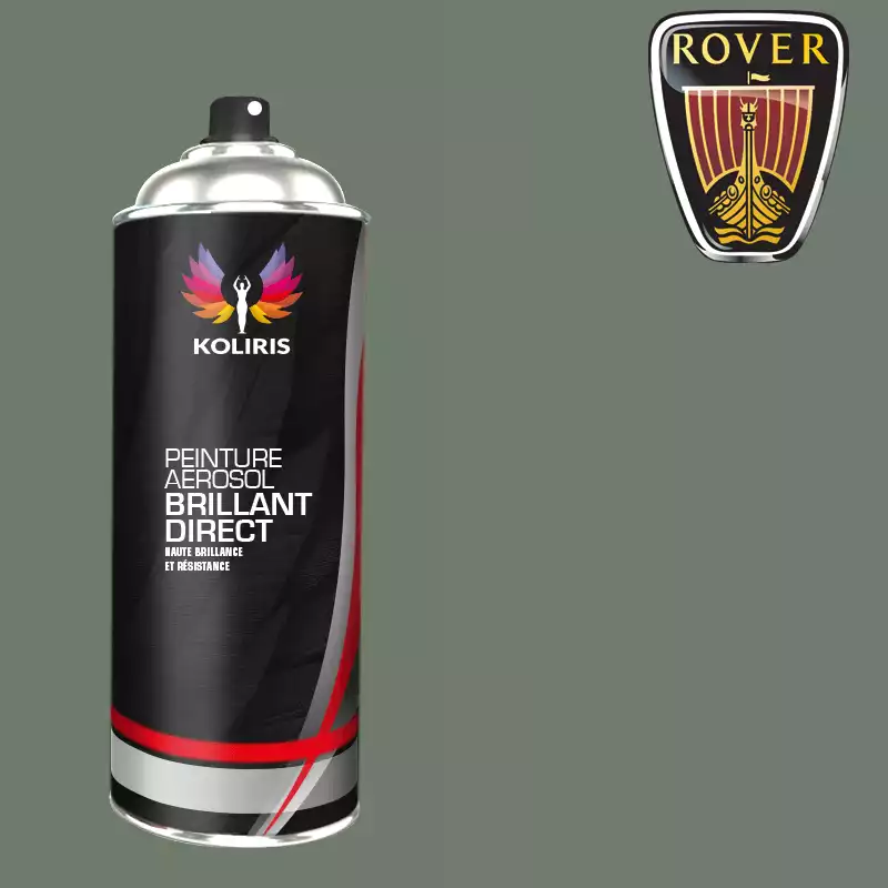 Bombe de peinture voiture 1K brillant Rover 400ml