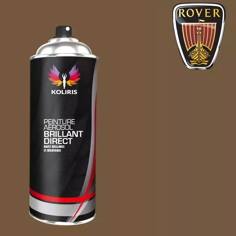 Bombe de peinture voiture 1K brillant Rover 400ml