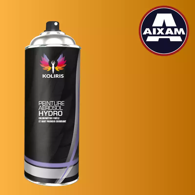 Bombe de peinture voiture hydro Aixam 400ml