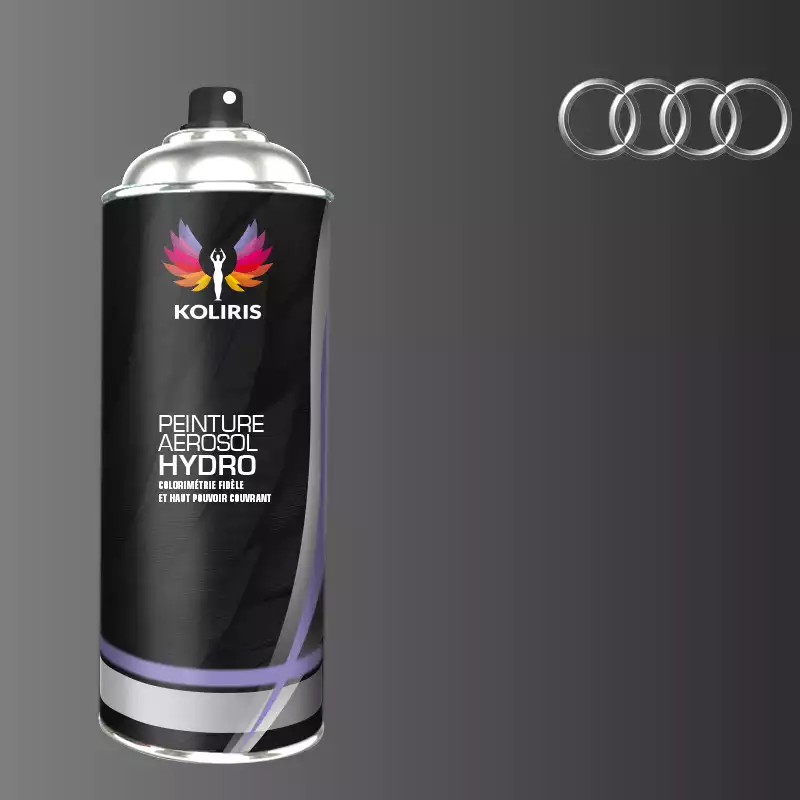 Bombe de peinture voiture hydro Audi 400ml