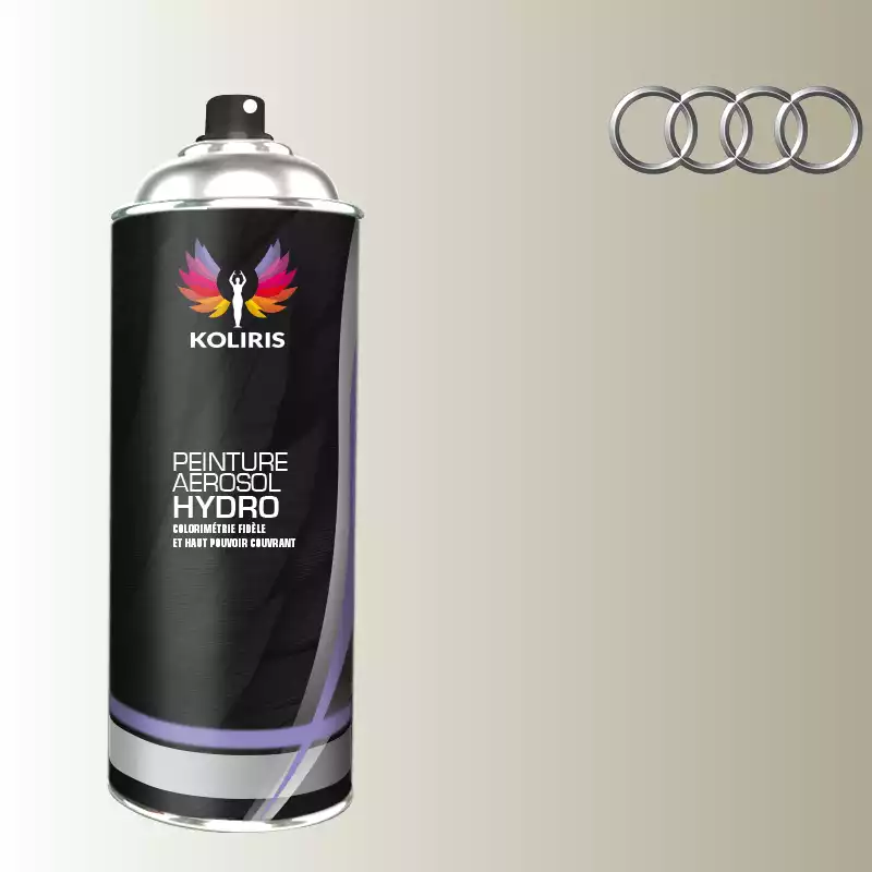 Bombe de peinture voiture hydro Audi 400ml