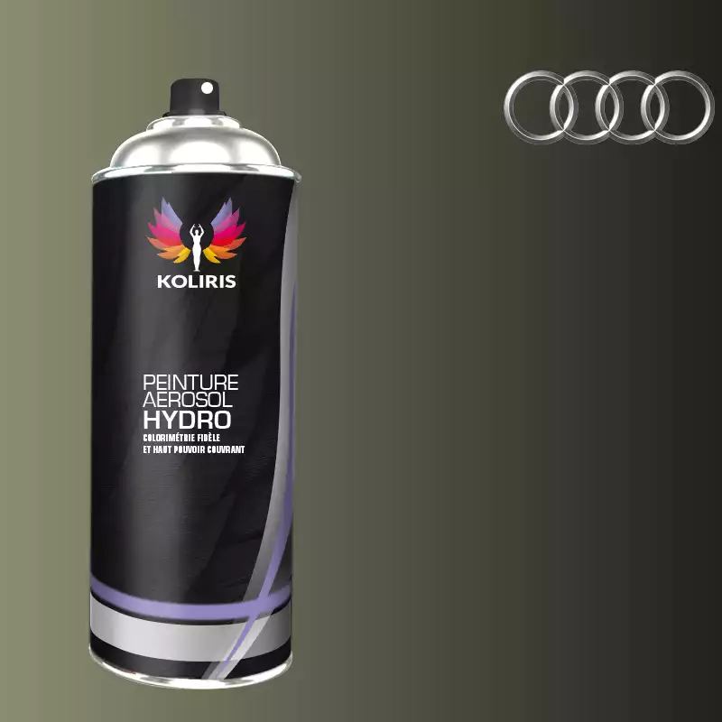 Bombe de peinture voiture hydro Audi 400ml