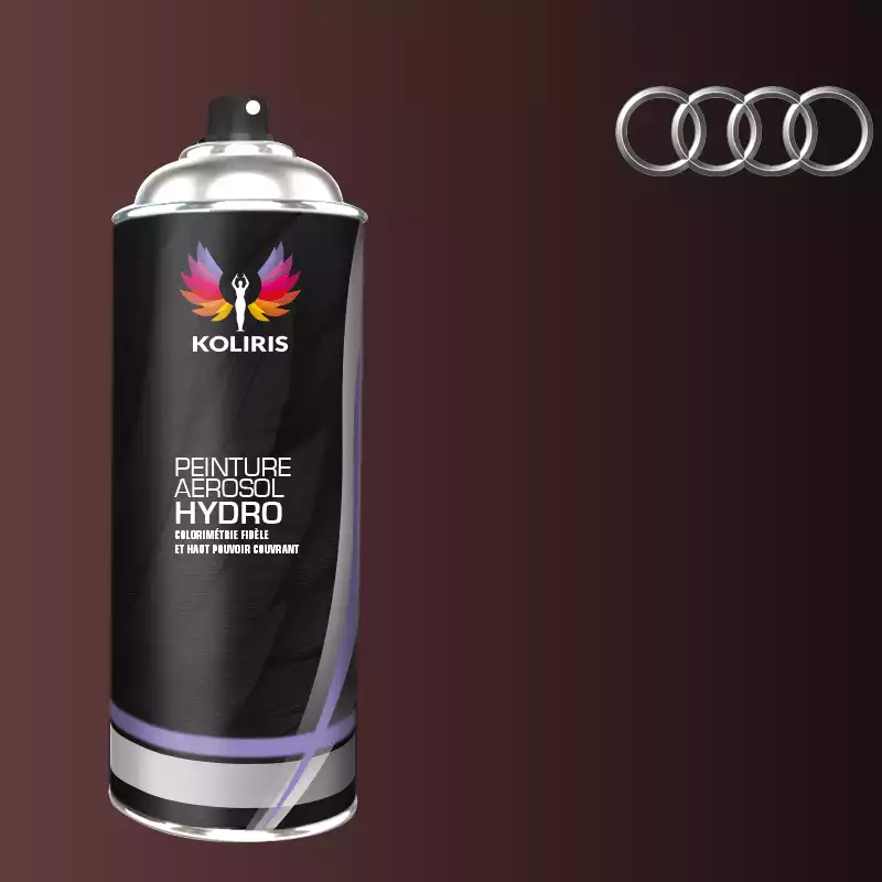 Bombe de peinture voiture hydro Audi 400ml