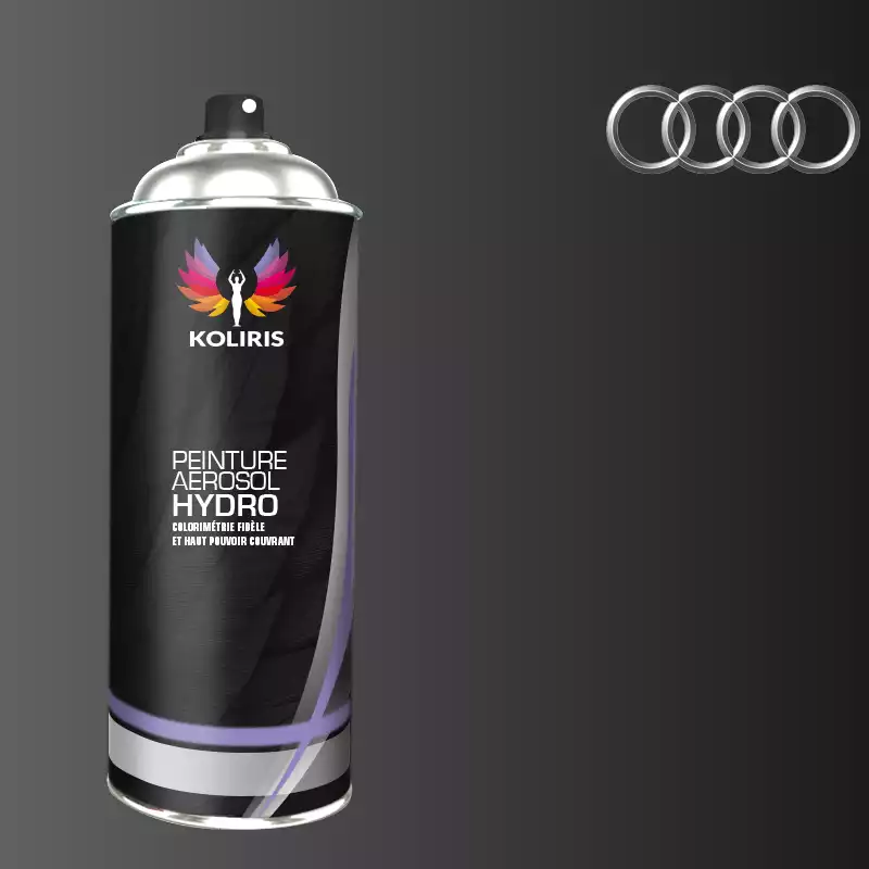 Bombe de peinture voiture hydro Audi 400ml