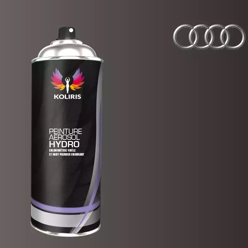 Bombe de peinture voiture hydro Audi 400ml