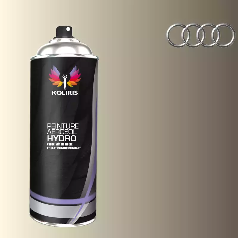 Bombe de peinture voiture hydro Audi 400ml