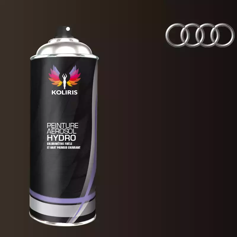 Bombe de peinture voiture hydro Audi 400ml