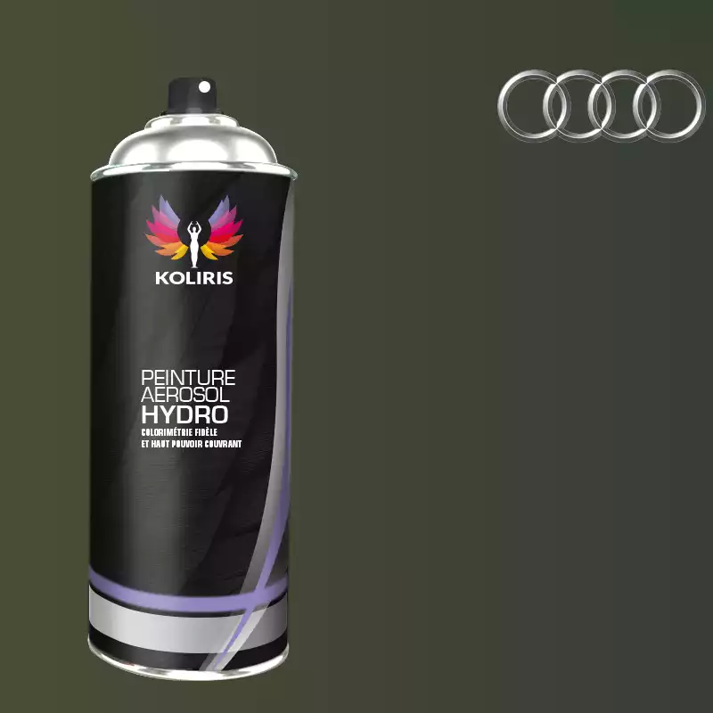 Bombe de peinture voiture hydro Audi 400ml