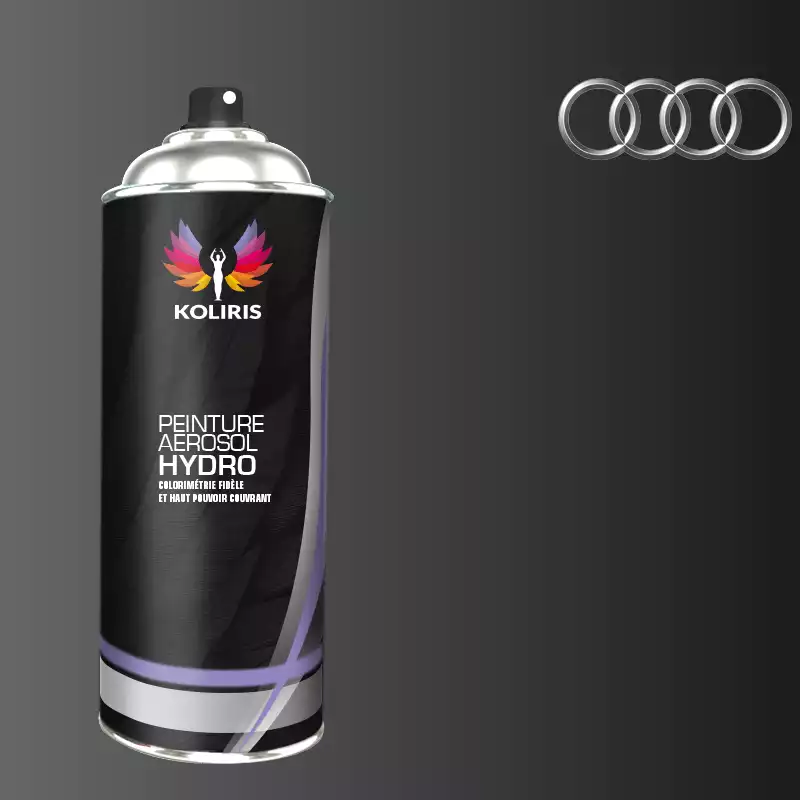 Bombe de peinture voiture hydro Audi 400ml