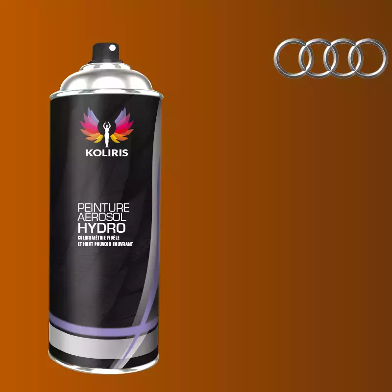 Bombe de peinture voiture hydro Audi 400ml