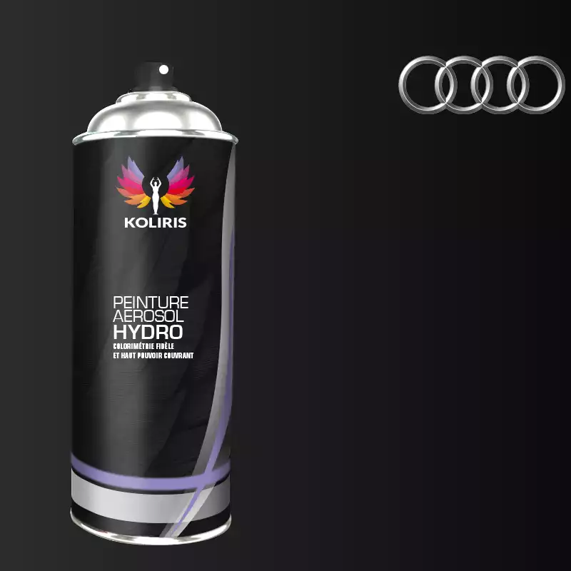 Bombe de peinture voiture hydro Audi 400ml