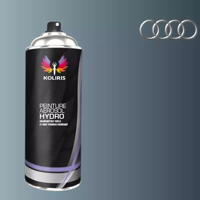 Bombe de peinture voiture hydro Audi 400ml