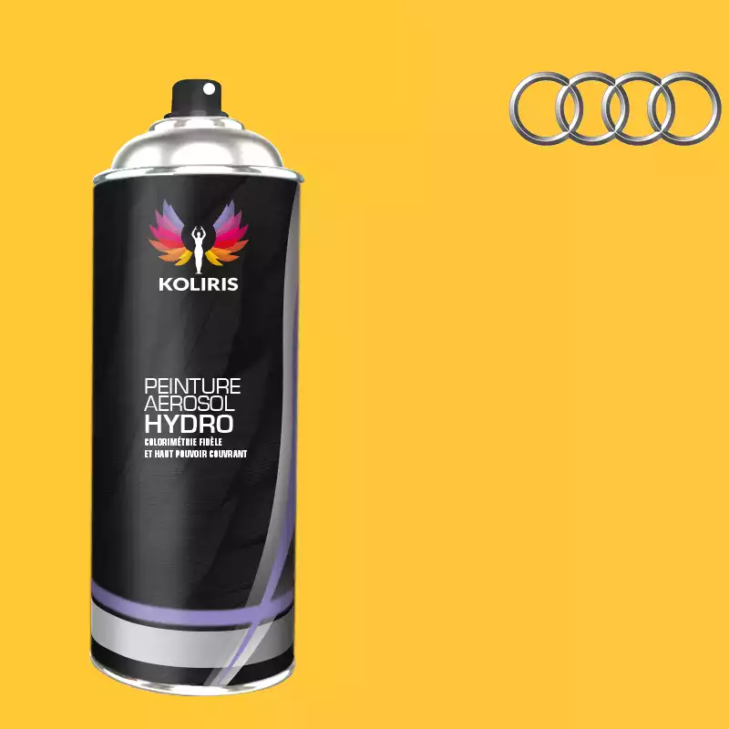 Bombe de peinture voiture hydro Audi 400ml