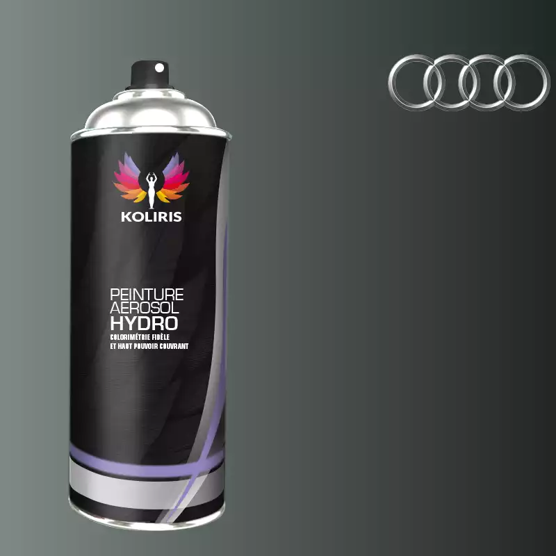 Bombe de peinture voiture hydro Audi 400ml