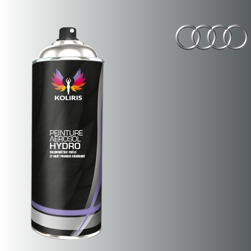 Bombe de peinture voiture hydro Audi 400ml