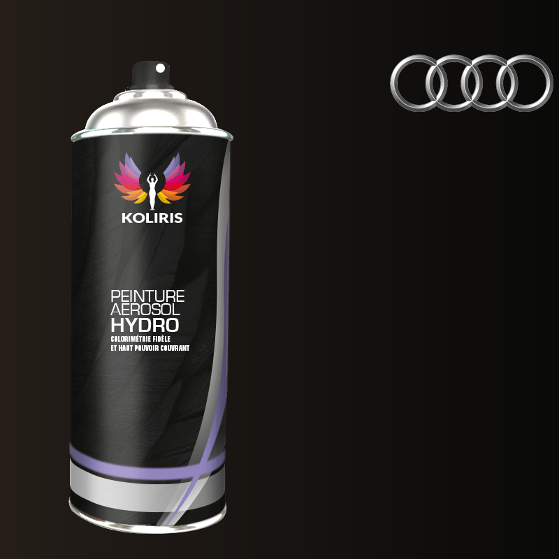 Bombe de peinture voiture hydro Audi 400ml