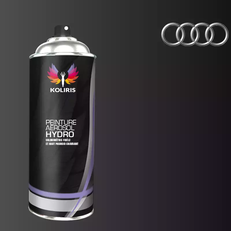 Bombe de peinture voiture hydro Audi 400ml