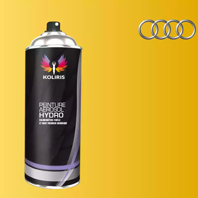 Bombe de peinture voiture hydro Audi 400ml