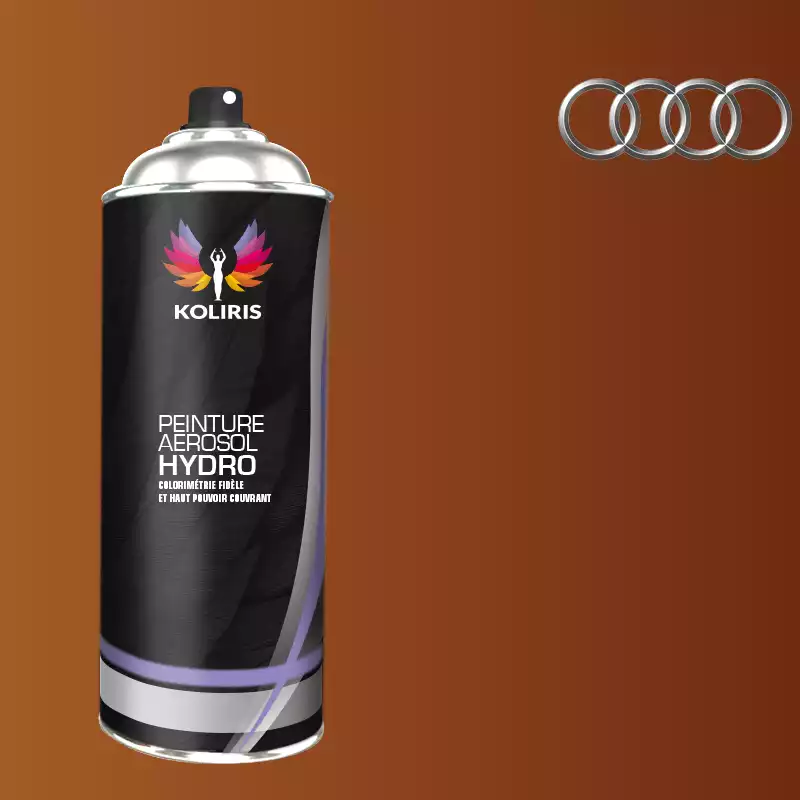 Bombe de peinture voiture hydro Audi 400ml