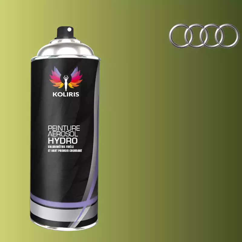 Bombe de peinture voiture hydro Audi 400ml