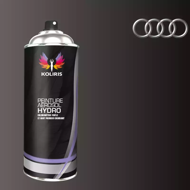 Bombe de peinture voiture hydro Audi 400ml