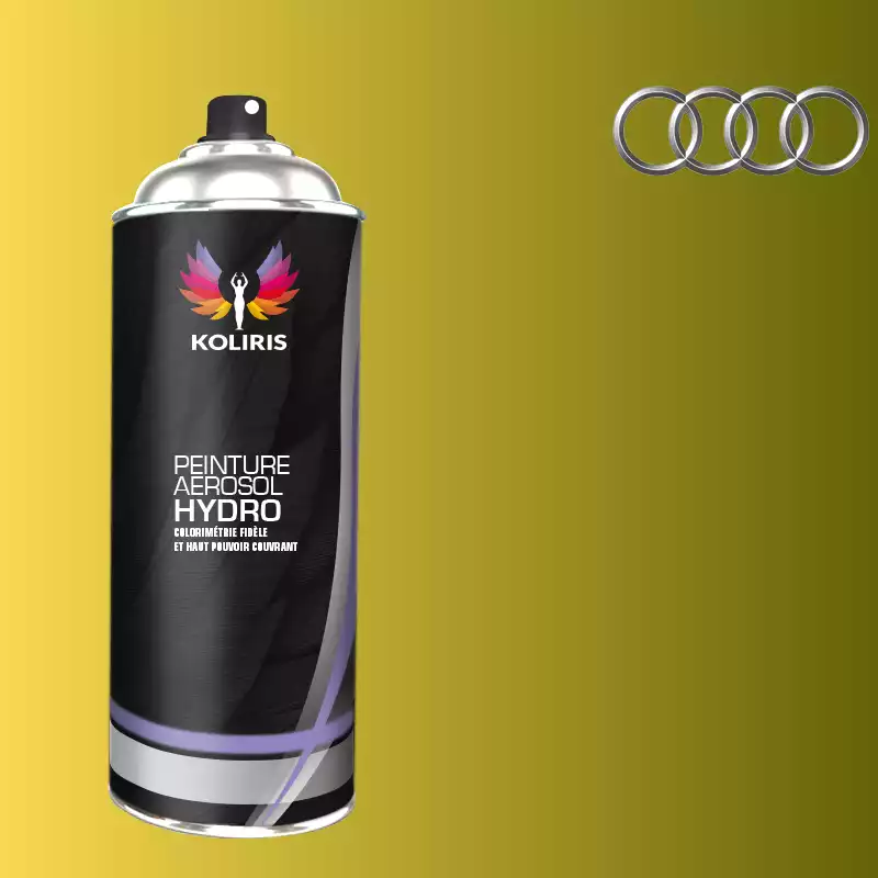 Bombe de peinture voiture hydro Audi 400ml