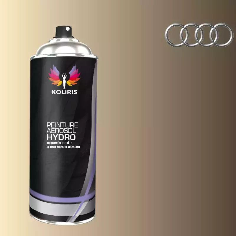 Bombe de peinture voiture hydro Audi 400ml