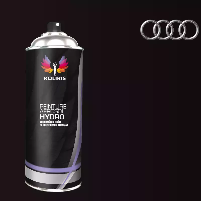 Bombe de peinture voiture hydro Audi 400ml