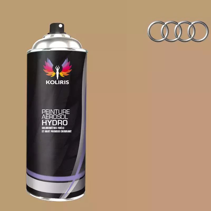 Bombe de peinture voiture hydro Audi 400ml