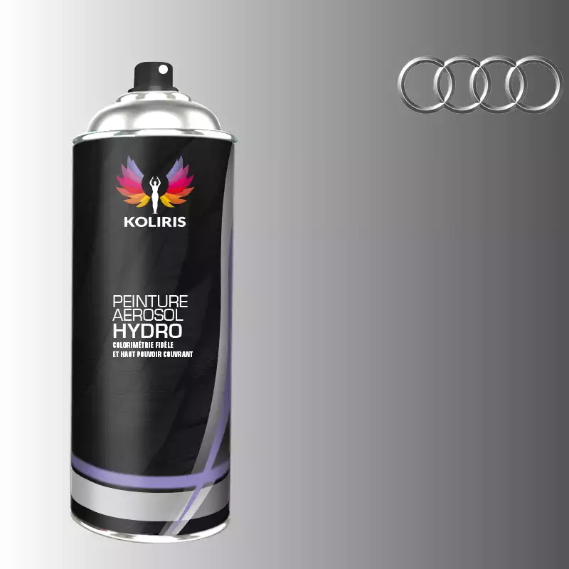 Bombe de peinture voiture hydro Audi 400ml