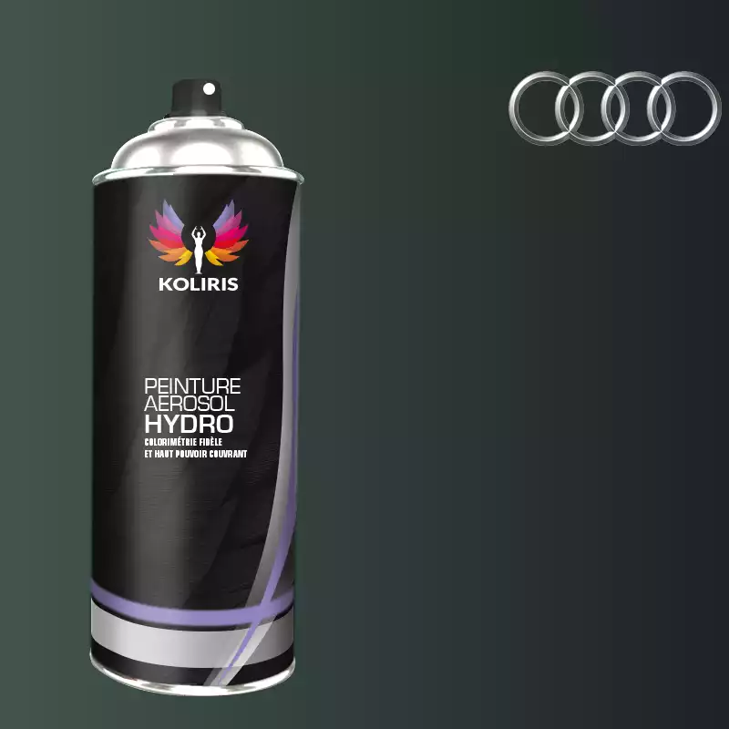 Bombe de peinture voiture hydro Audi 400ml