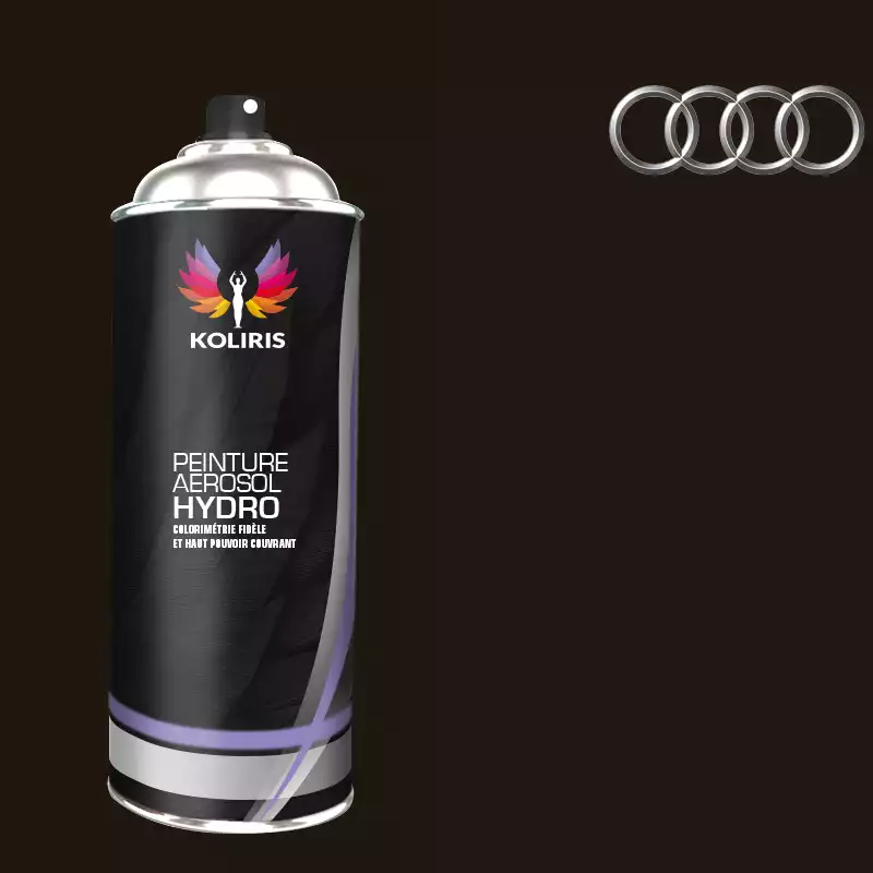 Bombe de peinture voiture hydro Audi 400ml