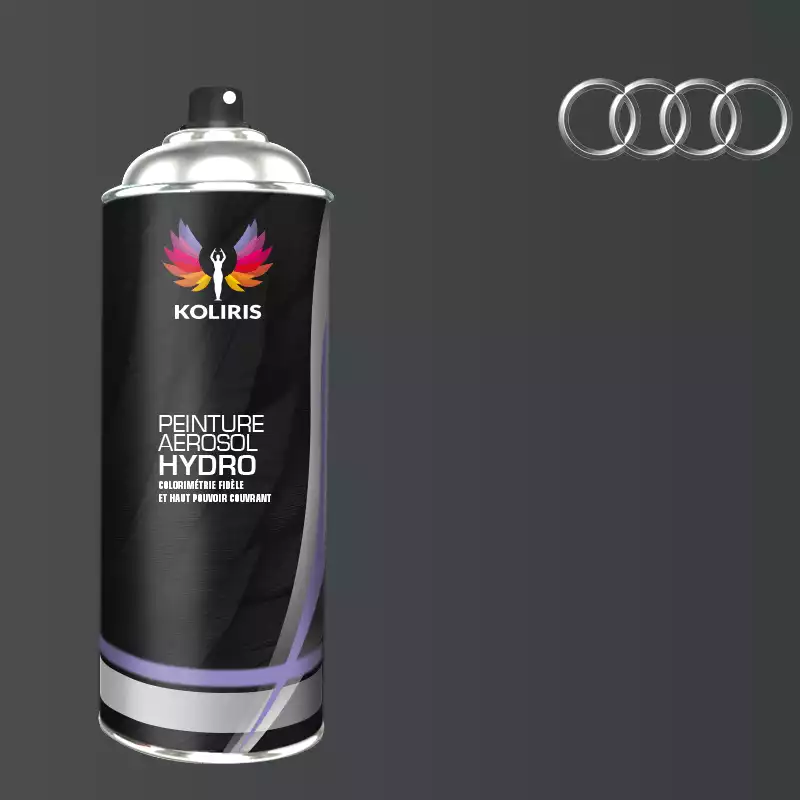 Bombe de peinture voiture hydro Audi 400ml