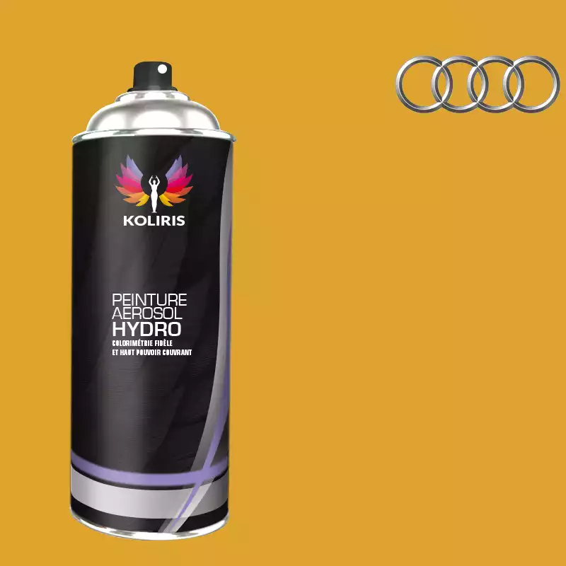 Bombe de peinture voiture hydro Audi 400ml