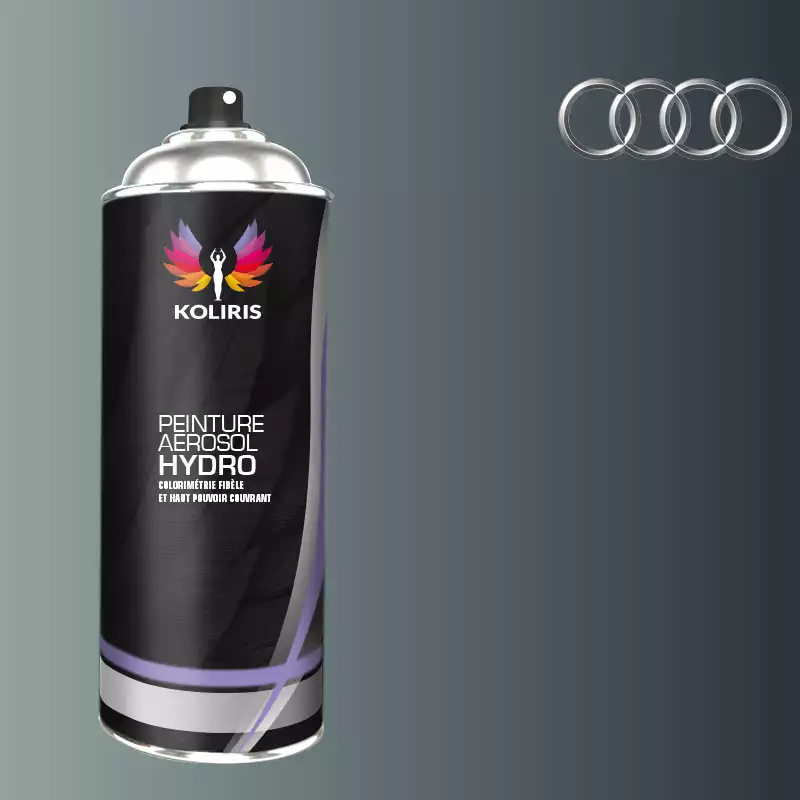 Bombe de peinture voiture hydro Audi 400ml